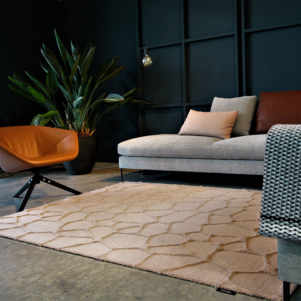 Surfaces 3D