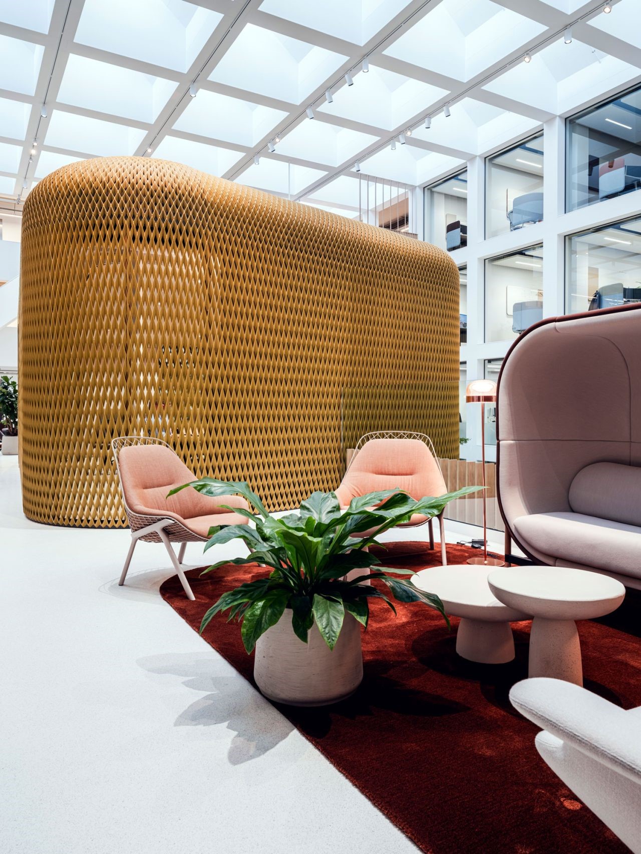 Concept cars - CS rugs
